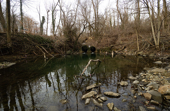 Pond in Baltimore woodlands